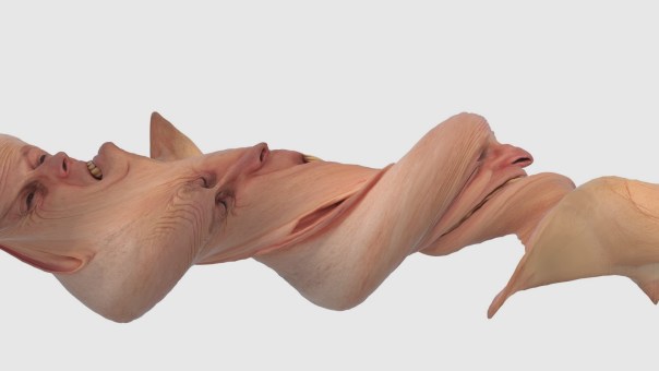 roling-shutter-heads2-3k