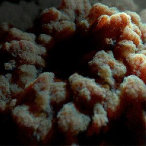 multiscatter-comparison